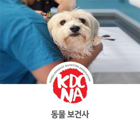  NO.1095 동물보건사 알아보기