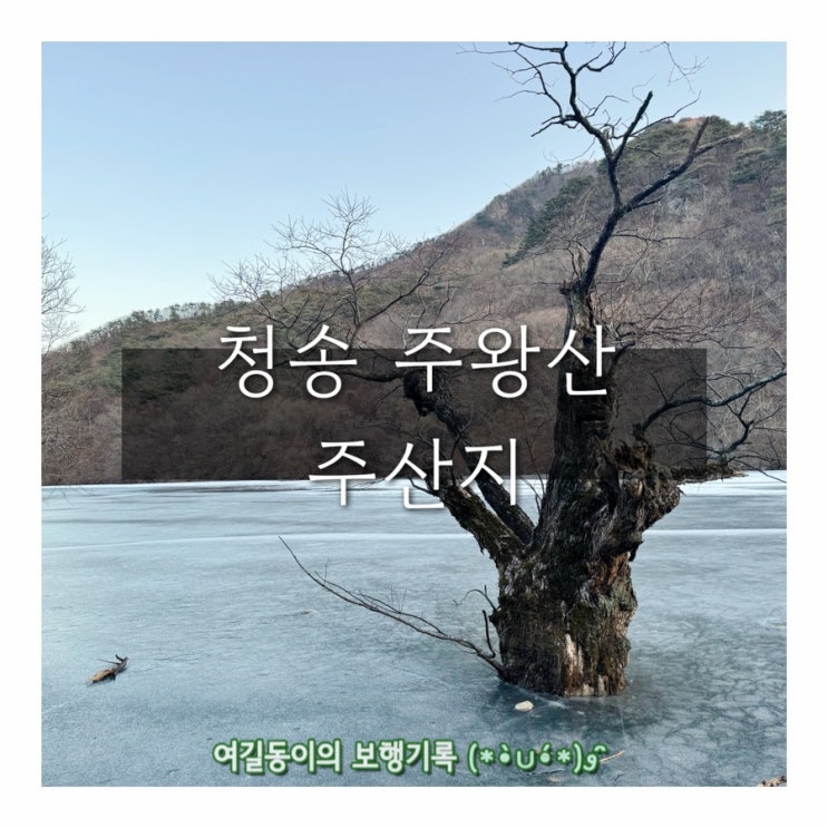 청송 당일 여행 코스 주왕산 주산지