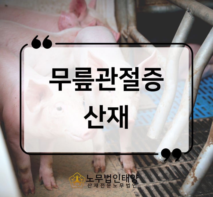  무릎관절증 산재 인공관절치환술 돼지농장 관리자 승인사례