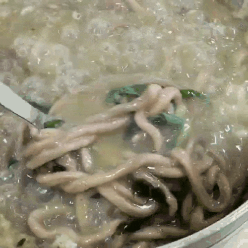 제주도 표선 맛집 국수앤 전복보말칼국수 회덮밥