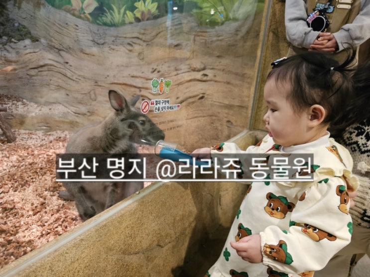  부산 명지 스타필드 근처 실내 라라쥬 동물원 방문기 !