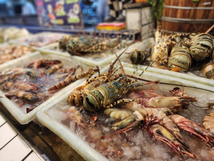 푸켓 빠통 비치 '사보이 씨푸드 레스토랑(Savoey Seafood Restaurant), 분위기는 좋은 휴양지 대형 식당 푸켓 빠통 비치 '사보이 씨푸드 레스토랑(Savoey Seafood Restaurant), 분위기는 좋은 휴양지 대형 식당