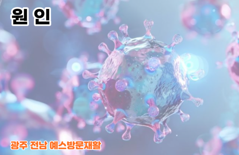 장간막 지방층염 (Mesenteric Panniculitis) 지방층염, 기본 정보, 원인, 증상, 진단, 치료 정보 ...