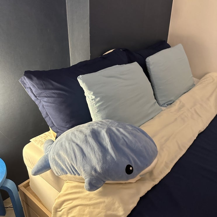  [강릉] 교동 에어비앤비 숙소
