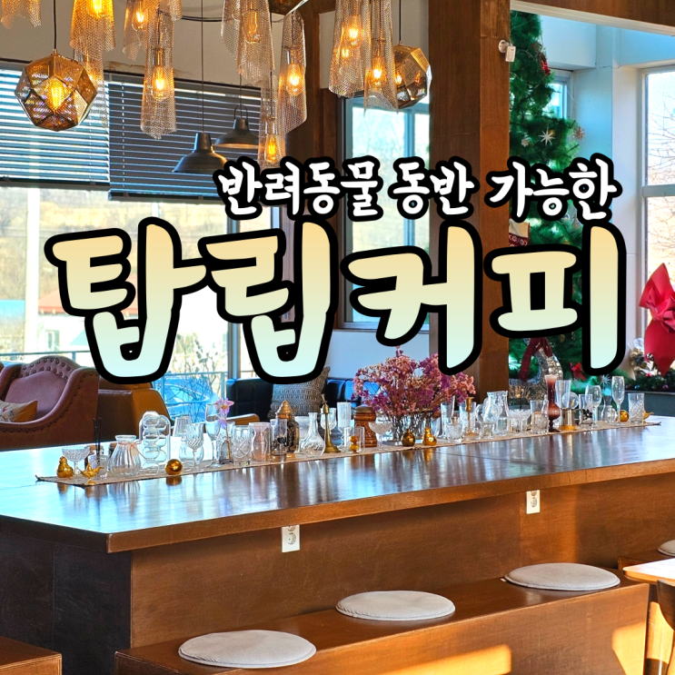  대전 탑립커피 반려견 동반 가능한 카페