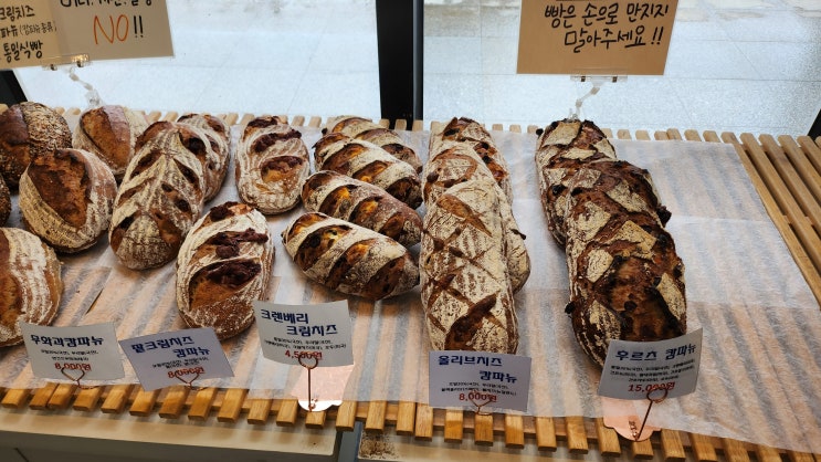  충주 우봉제 빵집 : 캄파뉴, 호밀빵, 통밀식빵