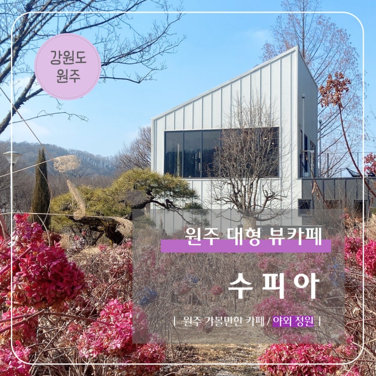  원주 대형 뷰 카페 추천 I 이쁜 야외 정원 카페 수피아
