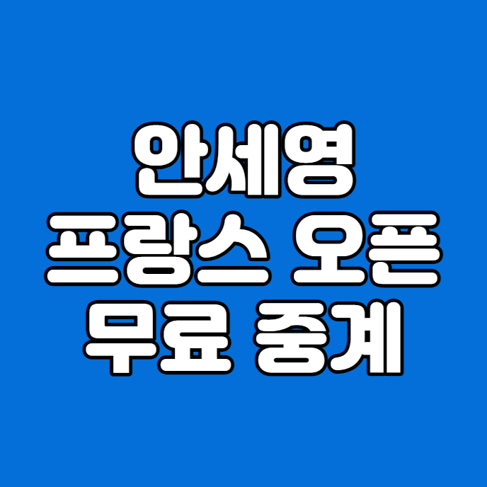 배드민턴 <b>프랑스</b> 파리오픈 대진표 여자 단식 <b>안세영</b> 생방송... 