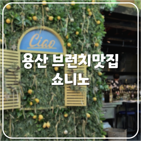  [용산 맛집] 브런치 맛집 쇼니노 내돈내산