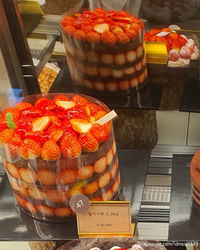  성심당 딸기시루 꿀팁 대전 딸기시루점 롯데점 오픈