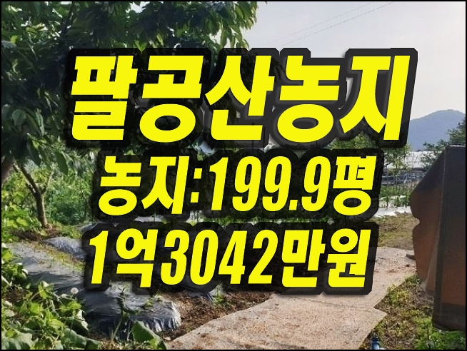  팔공산 농지 경매 매매 동구 중대동 땅 주말농장