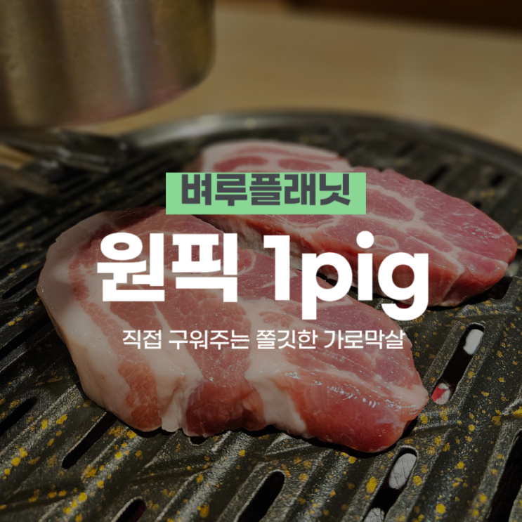 [맛집] 원픽 one pig  : 직접 구워주는 가로막살_강남 프라이빗 식당, 강남 콜키지프리