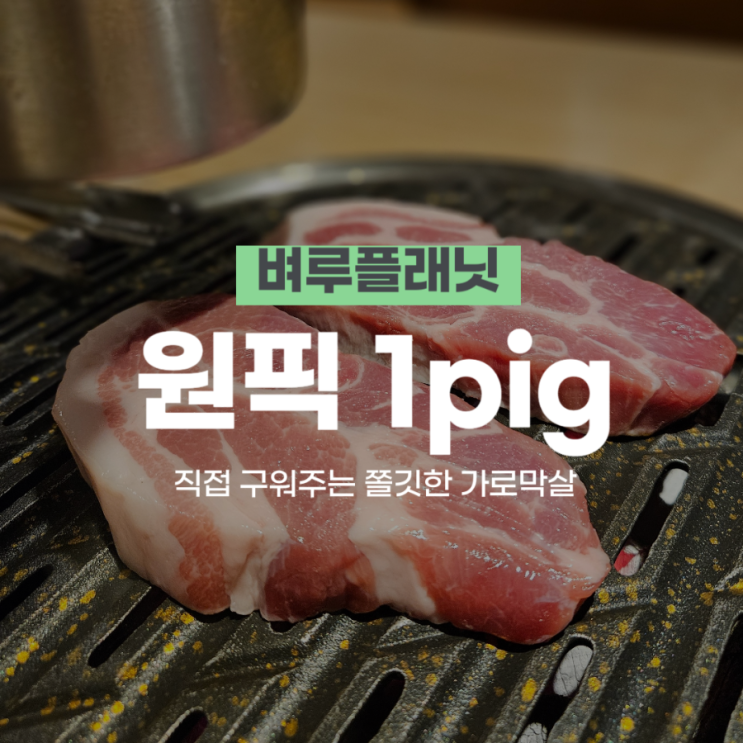  [맛집] 원픽 one pig  : 직접 구워주는 가로막살_강남 프라이빗 식당, 강남 콜키지프리