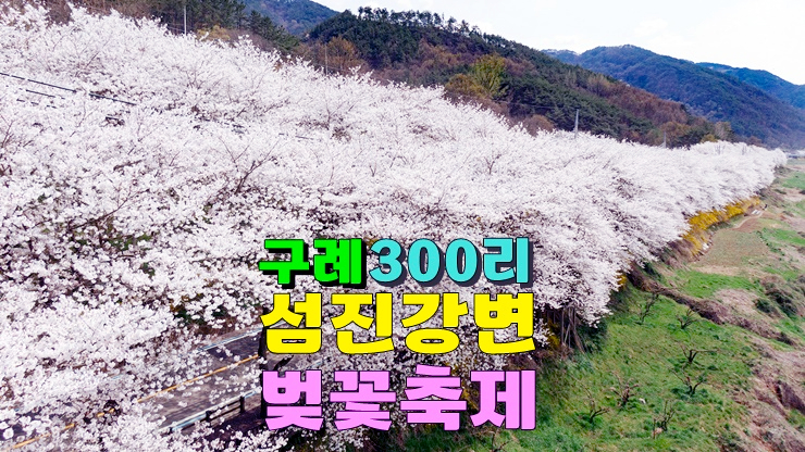 한국 가장 아름다운 섬진강 벚꽃길! 전라도 3월 축제 구례300리벚꽃축제(개화시기, 가수 라인업) 한국 가장 아름다운 섬진강 벚꽃길! 전라도 3월 축제 구례300리벚꽃축제(개화시기, 가수 라인업)