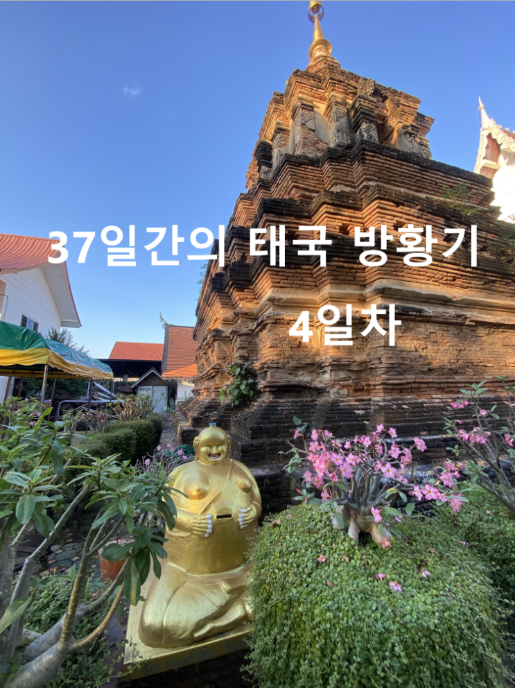  [태국 37일간의 방황기] 4일째 치앙마이 농부악핫공원무료요가 Fruit Cargo 주스 바 왓쩻린 Kat's Kichen Kalare Night Market