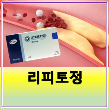 리피토정 10mg 20mg 40mg 효능 부작용(고지혈증약 처방)