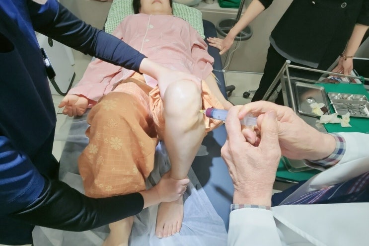 줄기세포 시술 실손보험 혼란…보험사 '입원 안돼' vs 환자 '횡포' 줄기세포 시술 실손보험 혼란…보험사 '입원 안돼' vs 환자 '횡포'