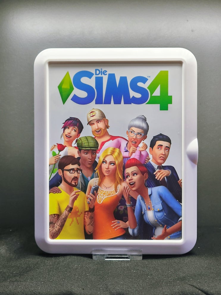  심즈 4 Fr4me 케이스 (Sims 4 Fr4me Case)