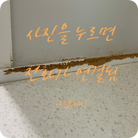 강아지가 물어뜯은 걸레받이 복원으로 고민 해결