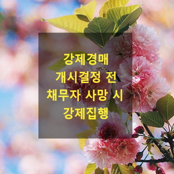  강제경매 개시결정 전 채무자 사망 시 강제집행