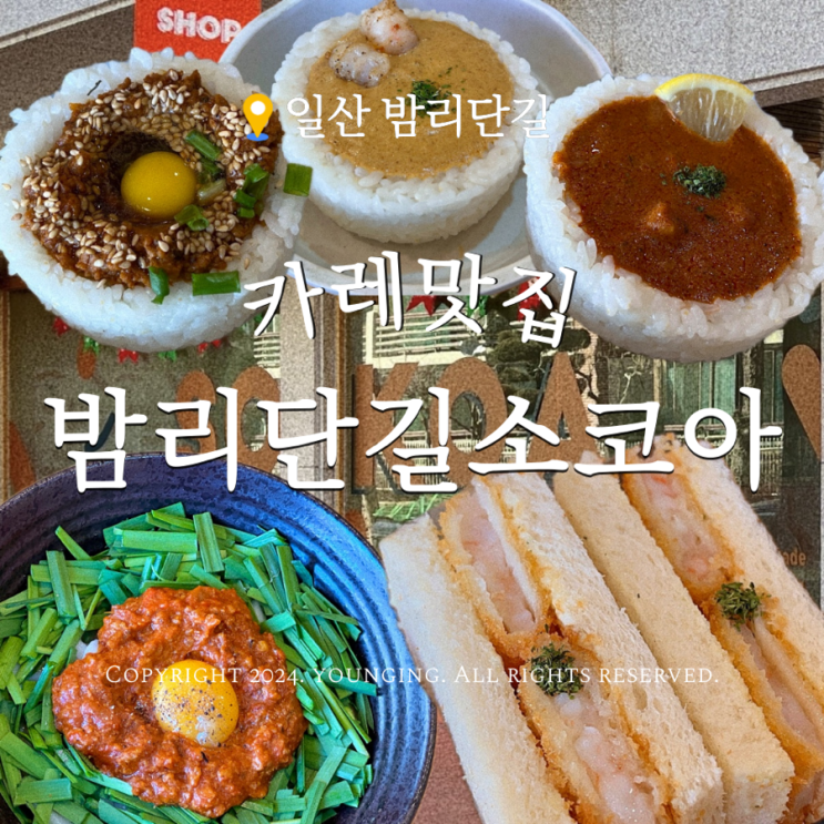  일산밤리단길맛집 소코아 애견동반가능한 카레전문점