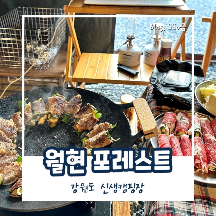  [강원도 횡성] 별빛보호지구의 신생 캠핑장 월현포레스트 총정리 : 애견 동반 가능, 명당, 매점