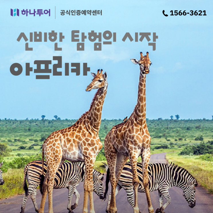  [아프리카 완전일주] 패키지 여행 알아보기