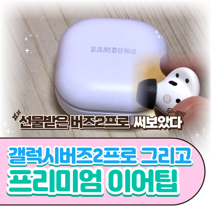 [REVIEW] 선물받은 삼성 갤럭시 버즈 2 프로... 박스없는 핸즈온을 해보았다