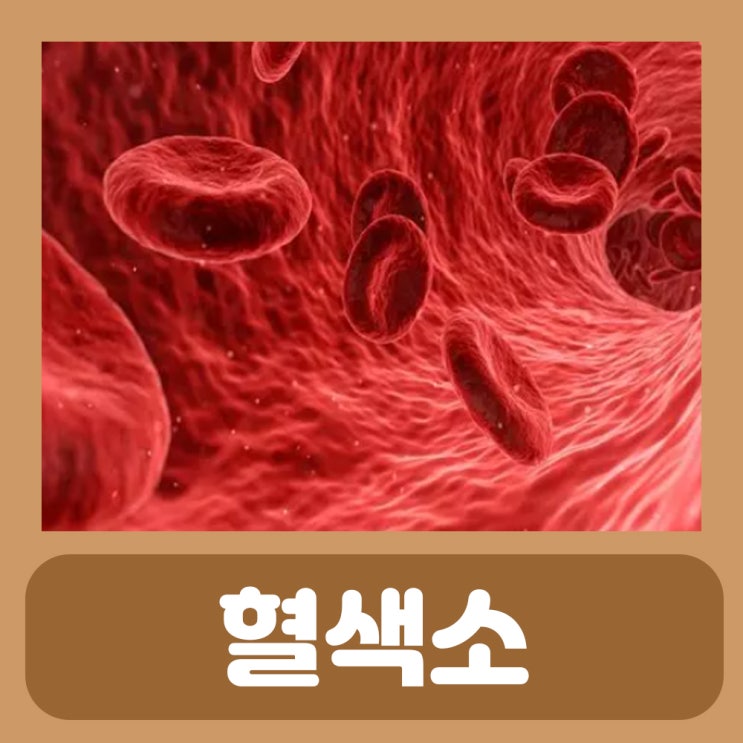  혈색소 수치 낮으면 과다 증상