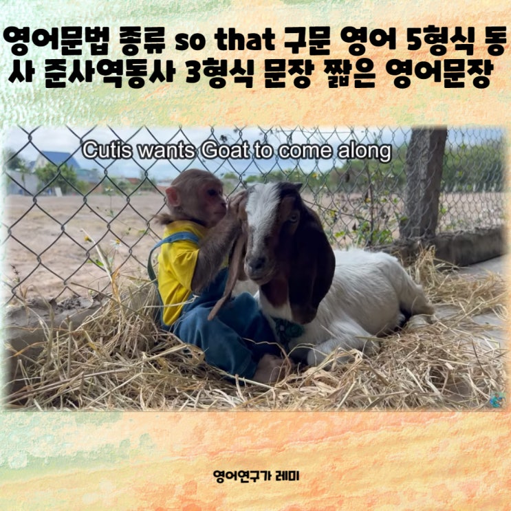 영어문법 종류 의문사 to 부정사 영어 5형식 동사 사역동사 해석 준사역동사 영어 명령문 예문 영어문법 종류 의문사 to 부정사 영어 5형식 동사 사역동사 해석 준사역동사 영어 명령문 예문