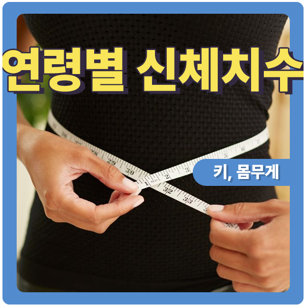  대한민국 연령별 평균치수는 어느 정도 일까?