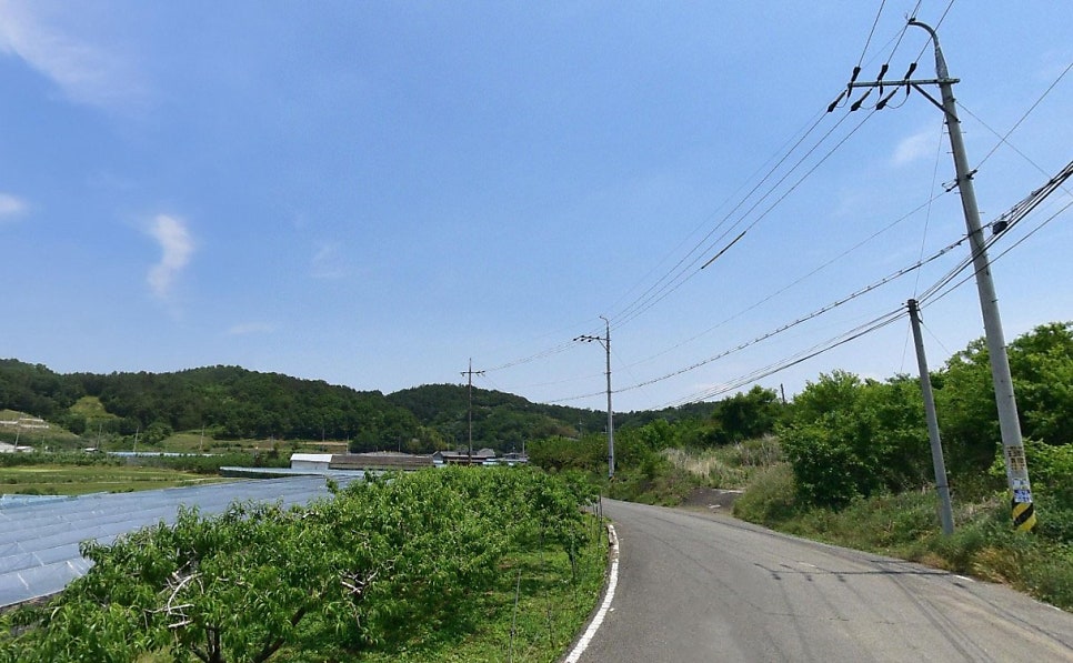 성골 사진 2