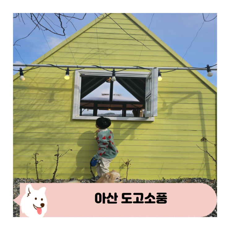  아이와 아산 도고소풍에서  애견동반 당일치기 캠핑 즐기기