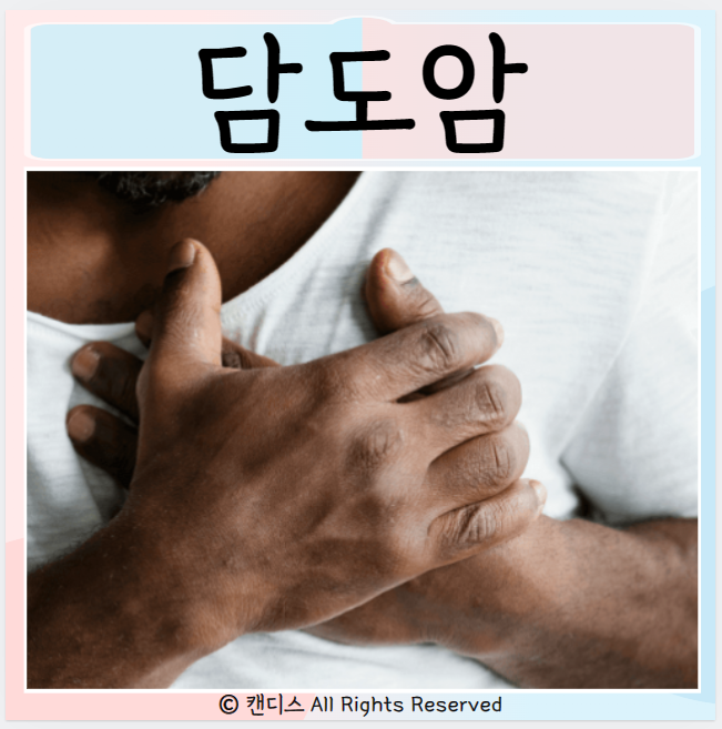  담도암 원인 종류 증상 조기발견 생존율