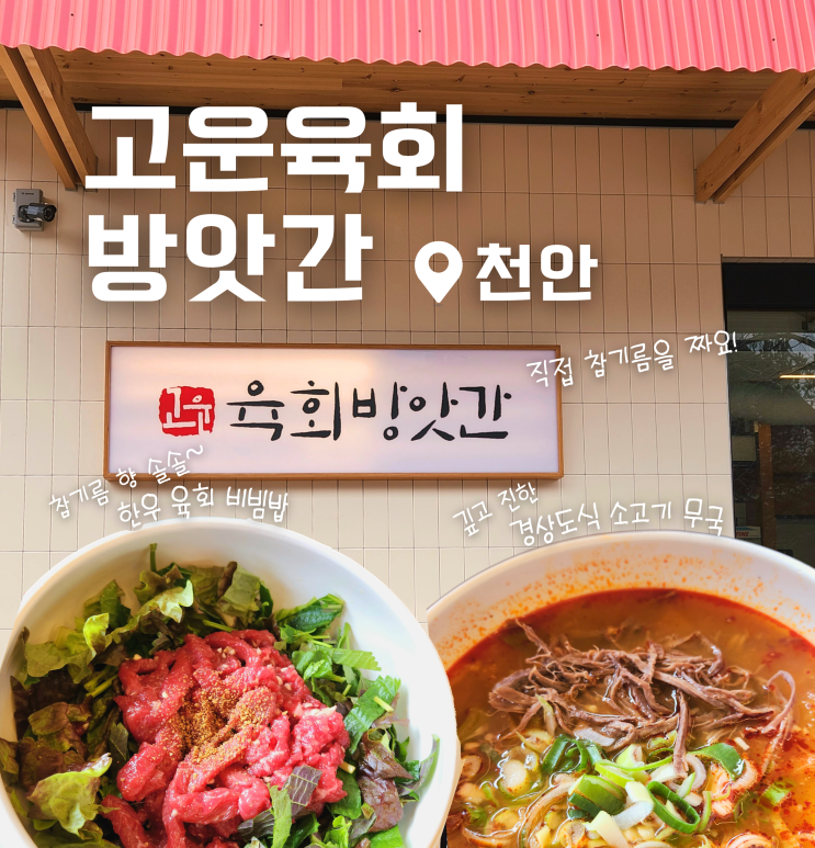  천안 종합운동장 한식 점심 맛집 고운육회방앗간 육회 비빔밥 후기