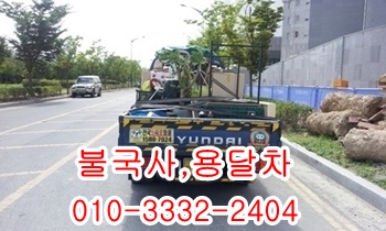 불국사용달 산내 건천 제주도 안강 입실 모화 울릉도 양북 감포. 불국사용달 산내 건천 제주도 안강 입실 모화 울릉도 양북 감포.
