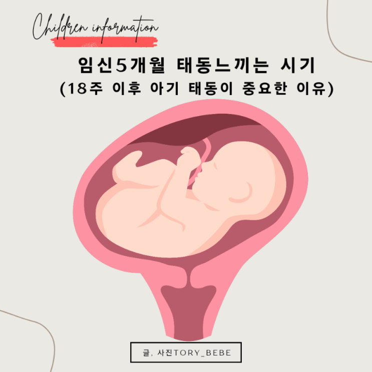 태동 느끼는 시기 임신 5개월 증상 18주 (아기 태동 중요한 이유)