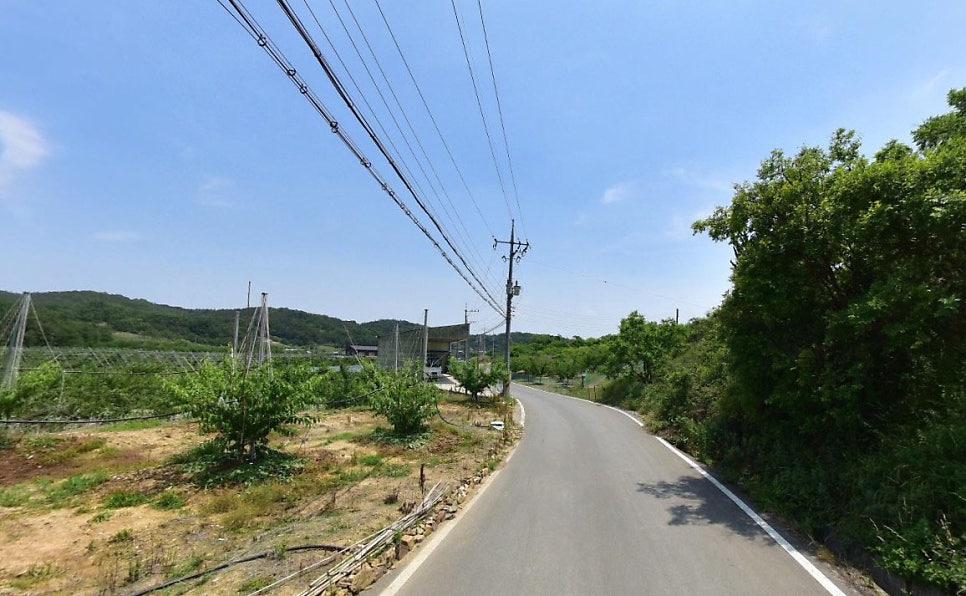 성골 사진 3