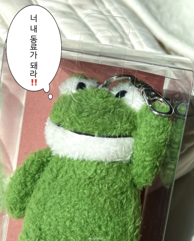 테이스티드 어글리 뽀글이인형키링 S사이즈 개구리&북극곰, 애착인형 선물로 추천!