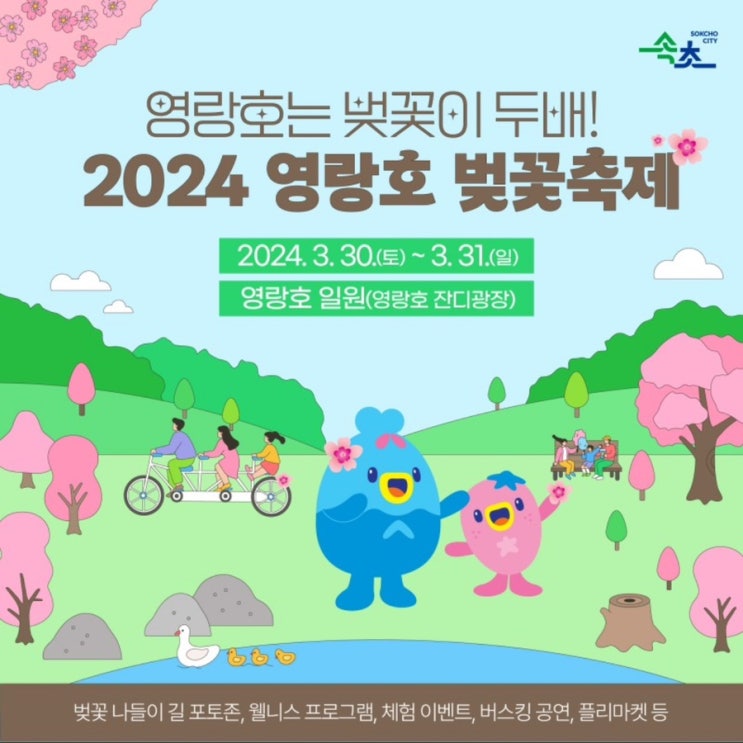[속초소식] 2024 영랑호 벚꽃축제 정보(개화시기, 주차정보, 설악산벚꽃)