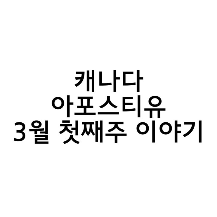  캐나다 아포스티유 최단기간에끝내기!