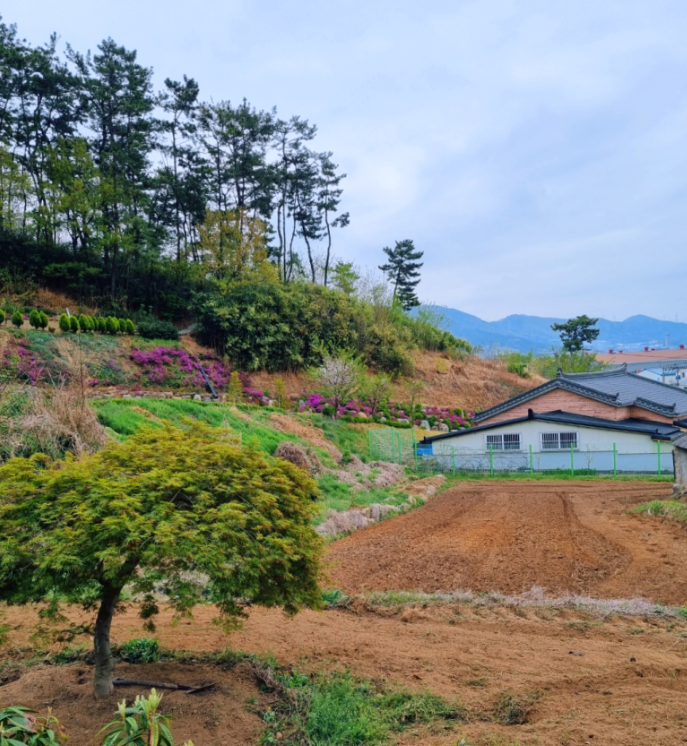  나만의 라이프 스타일 _ 꿈, 취미, 추억의 공간 : 전원주택을 누리다 2탄