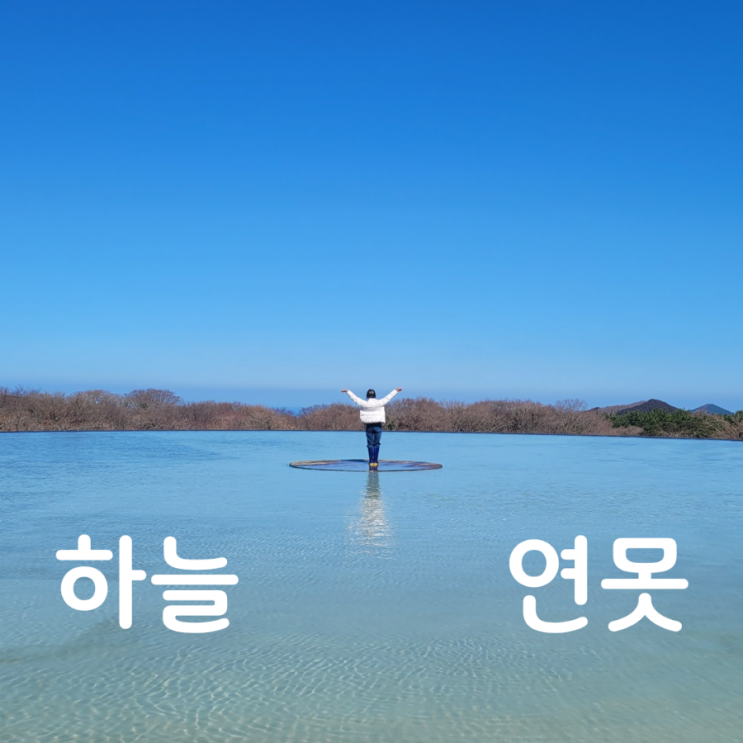  제주도의 탄생과 전설을 새긴 제주돌문화공원. 파란 하늘과 맞닿은 하늘연못. 제주도 가볼 만한 곳.