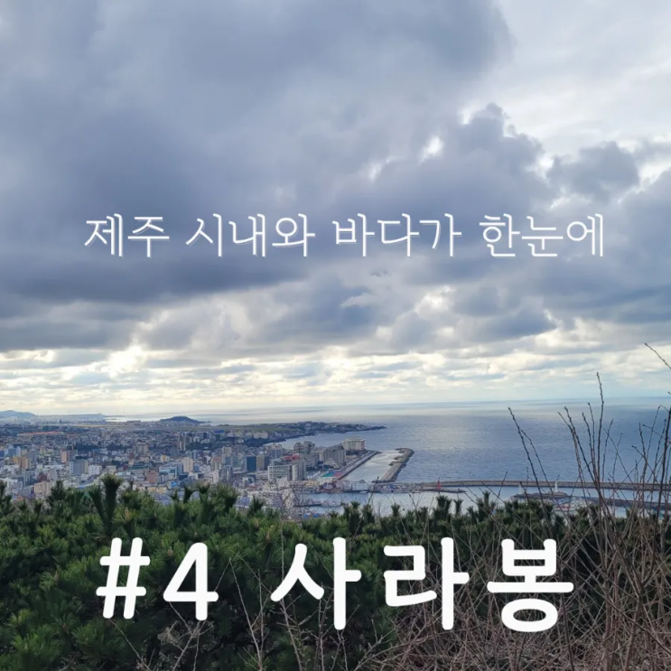  제주 시내 오름 제주 사라봉 제주시내 여행 가볼만한곳 사라봉 공원 토끼 사라봉 별도봉 알오름