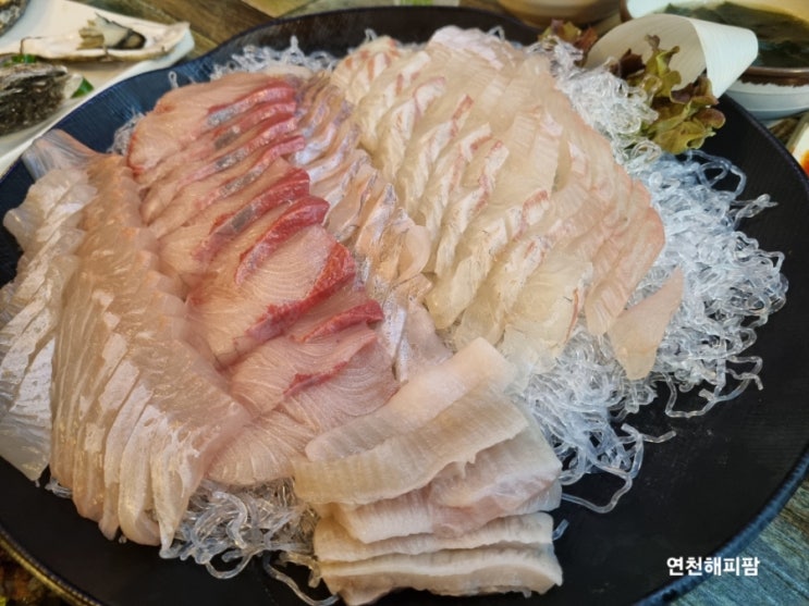  연천 전곡 회 맛집 제주수산물회센타