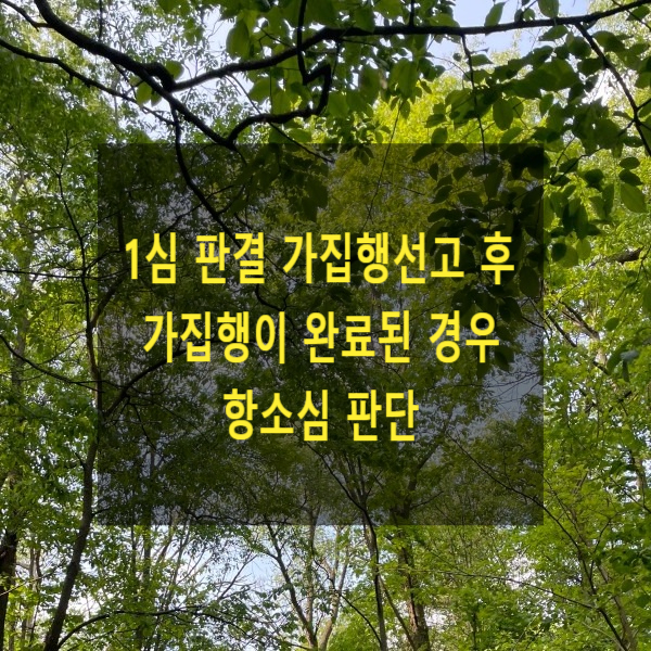  1심 판결에서 가집행선고로 가집행이 완료된 경우 항소심 판단