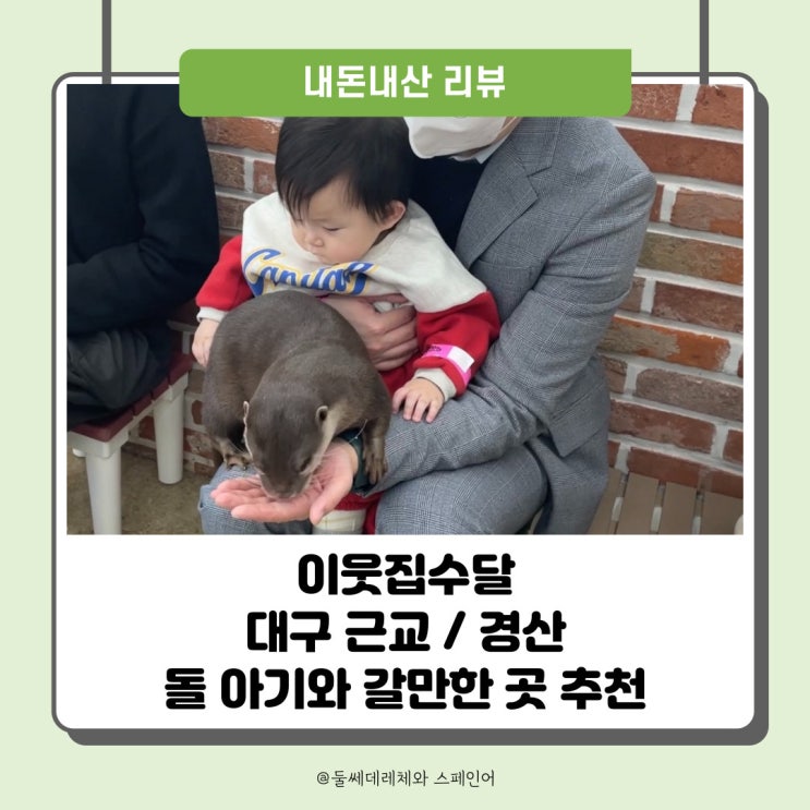  [이웃집수달] 돌아기와 다녀온 경산 실내동물원 (내돈내산)