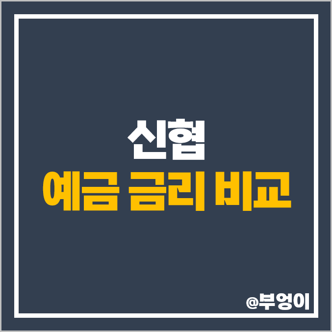 신협 정기예금 금리 특판 비교 이자율 높은 6개월 예금 추천 신협 정기예금 금리 특판 비교 이자율 높은 6개월 예금 추천