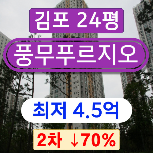 김포아파트경매 김포시 풍무동아파트 풍무푸르지오 34평 2차 경매 2023타경5316