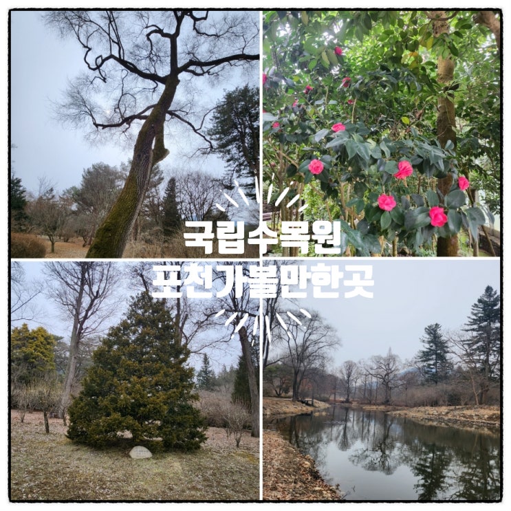 포천 가볼만한곳으로 <b>식목일 대통령</b> 식수를 볼 수 있어요.